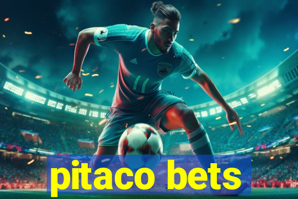 pitaco bets